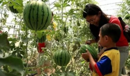 青海浪山最新吃瓜爆料,揭秘神秘事件背后的真相